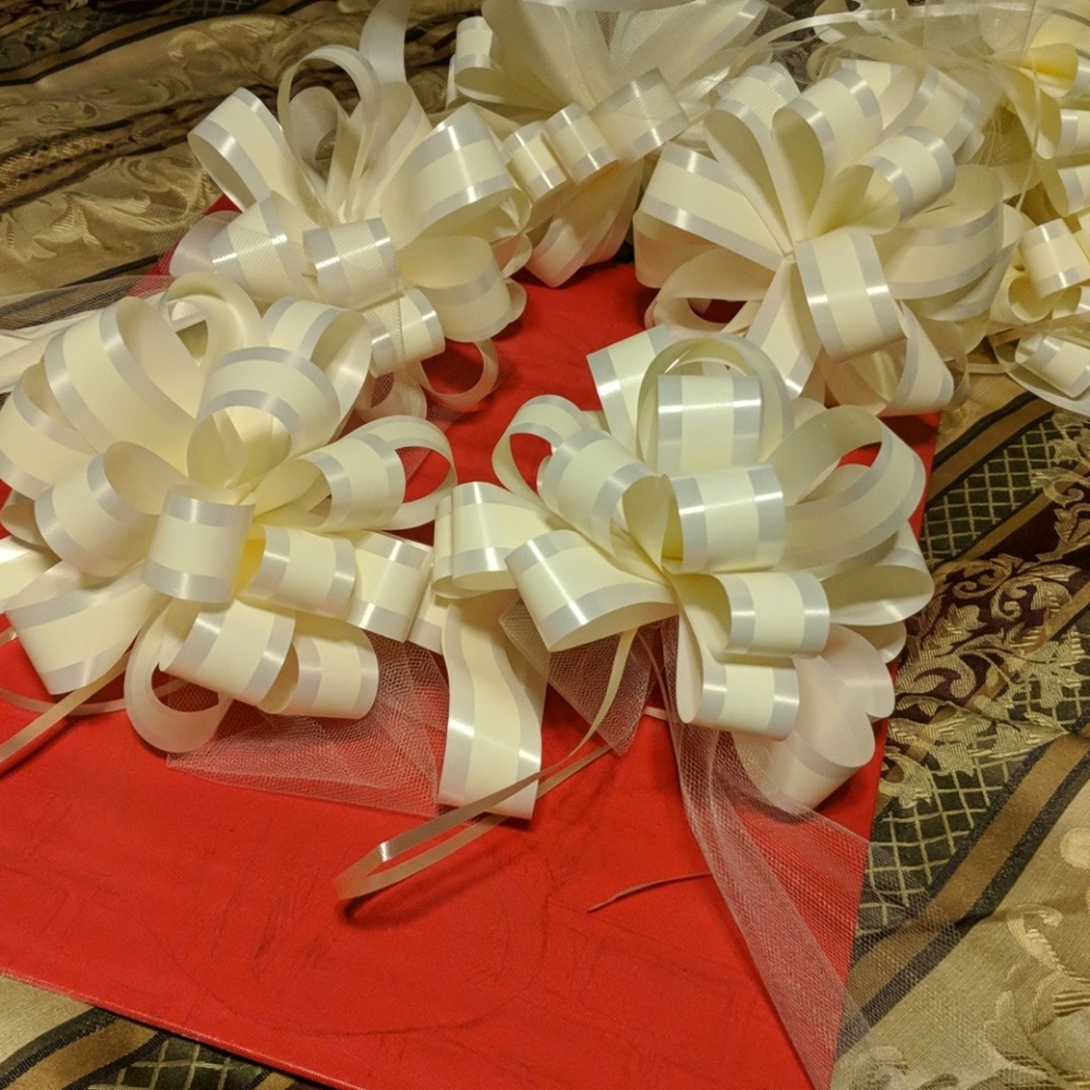 Large Decorative bows